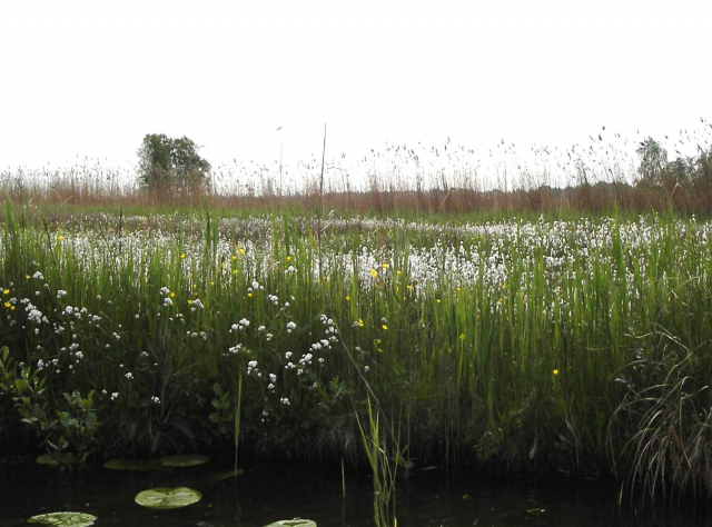 nieuwe driemanspolder 2
