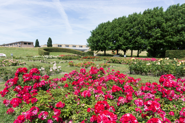 okt18 jeroen stahlecker2