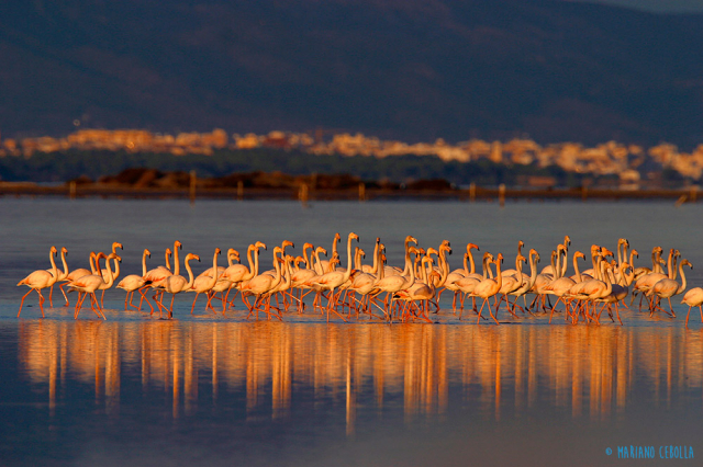 Straat in beeld Ebrostroom foto Ebro Delta