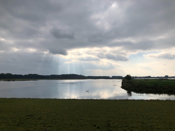 wnov21 Cok van Aalst N3mp okt21