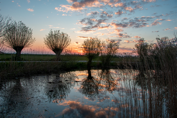 Rieni_Looije_broekwegkade_noordaa