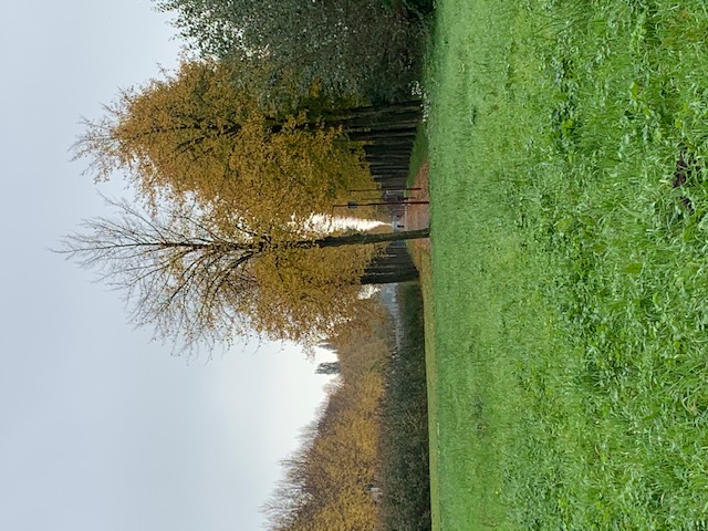 Sharda_Soerjoesing_Hoekstrapark