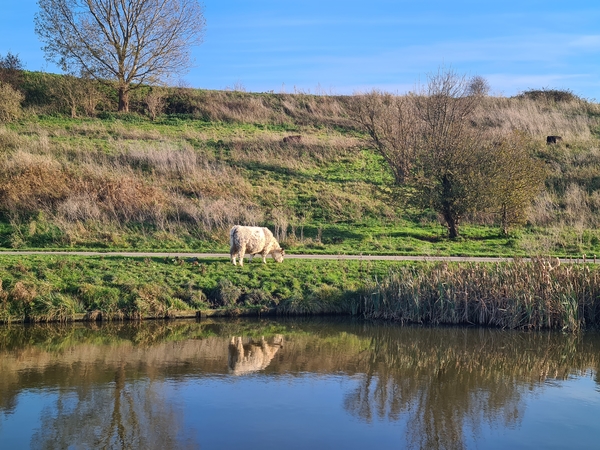 wfeb21_Hetty_van_der_Lans_herfst_buytenpark