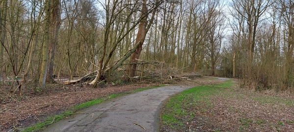 storm driemanspolder sanquin