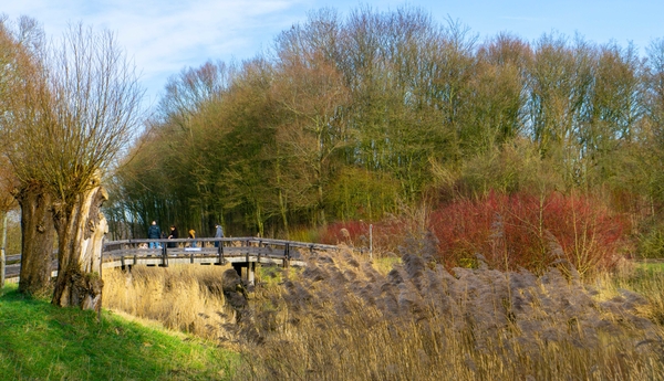 feb22 j_stahlecker_Westerpark