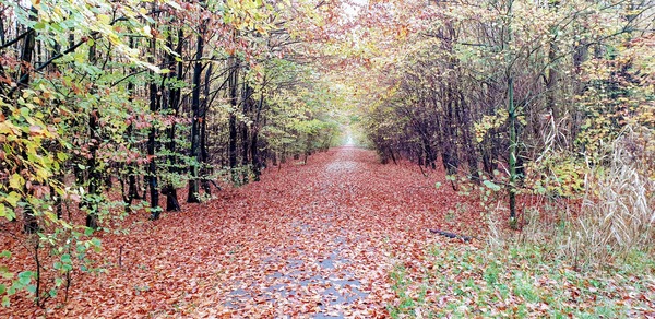 lex_helvensteijn_balij