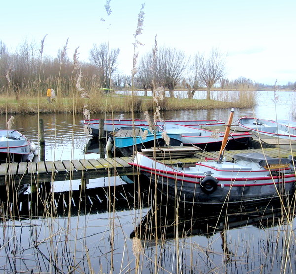 apr23 annievanopijnen zoetermeerse plas