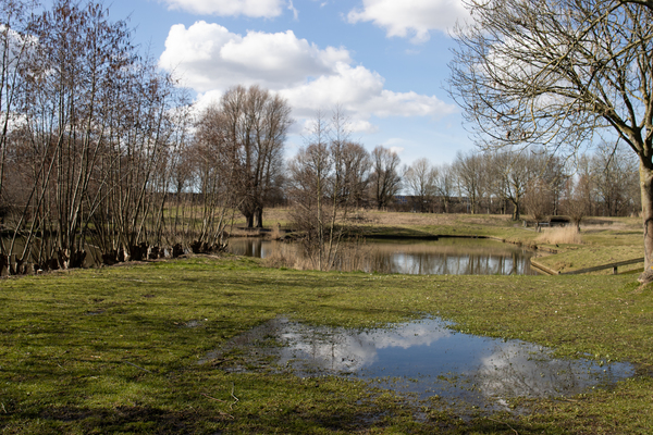 apr23 p_nicolaas_De_Wijdse_Weide_Seghwaert