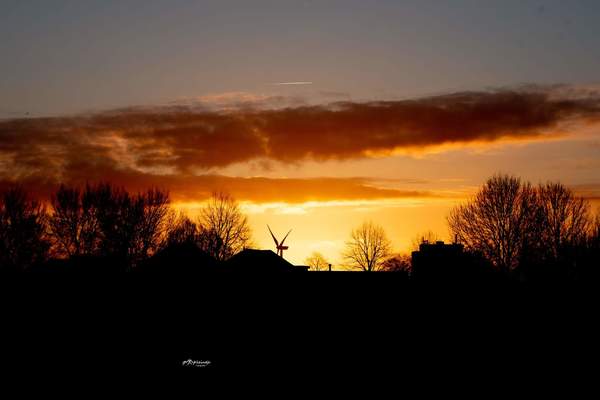 wapr23 Rianne_Veeninga_zonsopkomst_rokkeveen