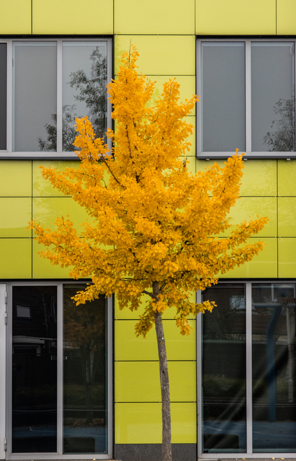 dec24 P Nicolaas Picasso Lyceum Rokkeveen