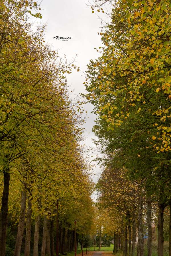 wdec24 Rianne_Veeninga_herfst_in_Zoetermeer