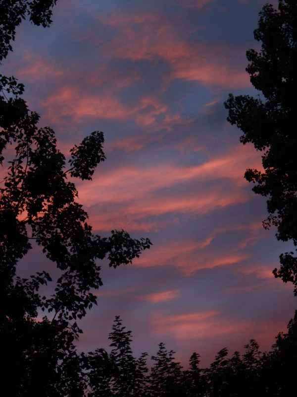 jul24 Cok_van_Aalst_zomeravond_meerzicht
