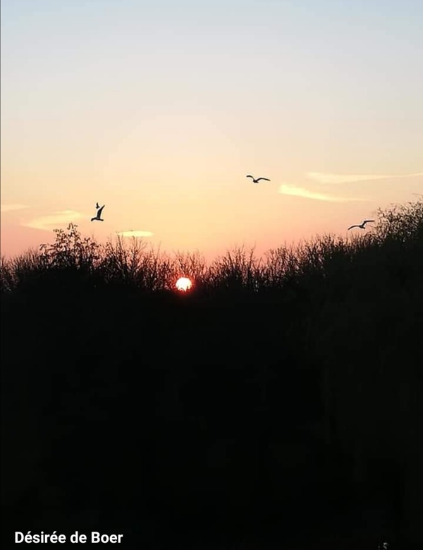 jul24 Desiree_de_Boer_Rokkeveen