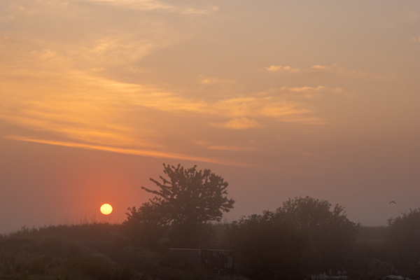 jul24 P Nicolaas Benthuizerplas 2