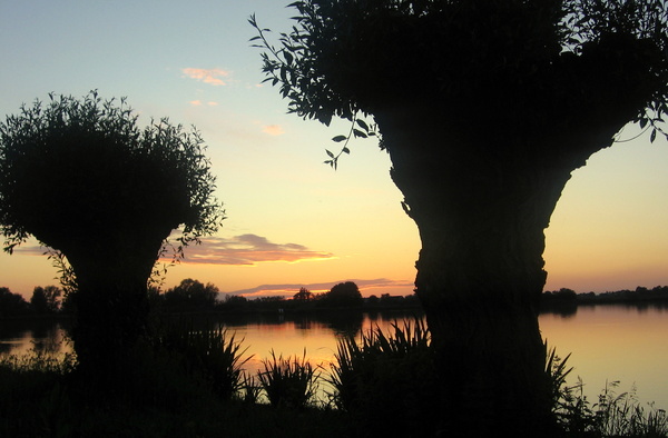wjul24 Annie van Opijnen Zoetermeerse plas 3