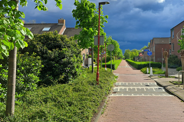 wjul24 Dorien_Luijten_Broekwegzijde