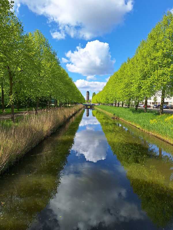 wjun24 Marga_Krijgsman_rokkeveen_Weerspiegelling