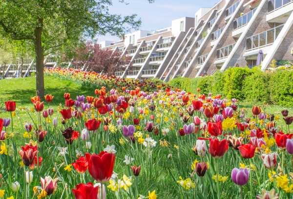 mei24 J_Stahlecker_Frankrijklaan