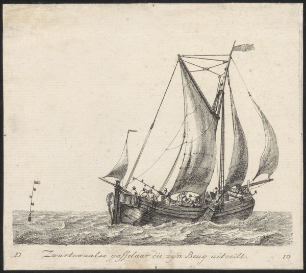 Zwartewaalse gaffelaar