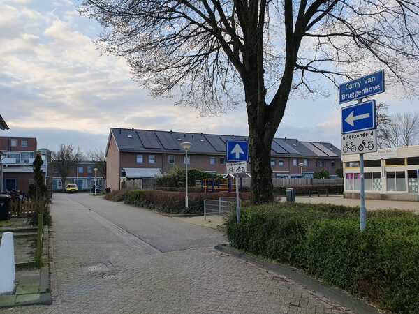 carry van bruggenhove