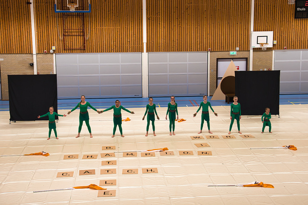 try out harpe davids1