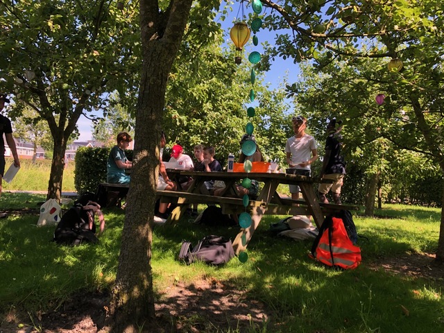 Pesto maken Weidemolen