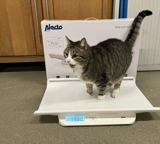 poes weegschaal 1 580x520