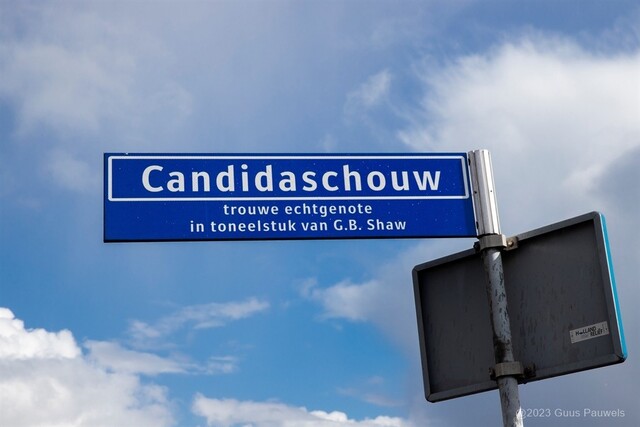 straat candida