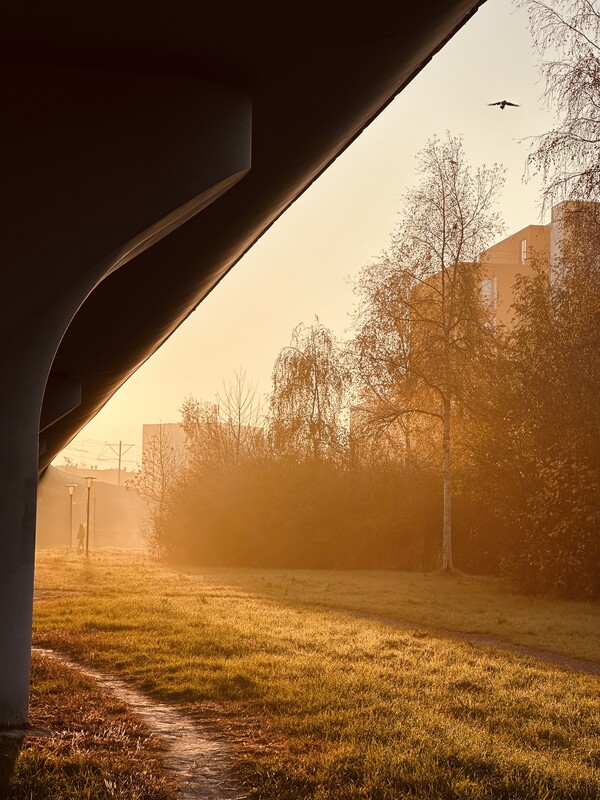 dec25 Julian_Mooijman