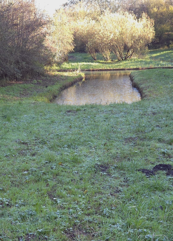 wdec25Ellis van der meulen Wijdse Weide2