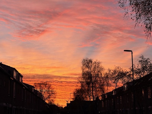 wdec25sharda_soerjoesing