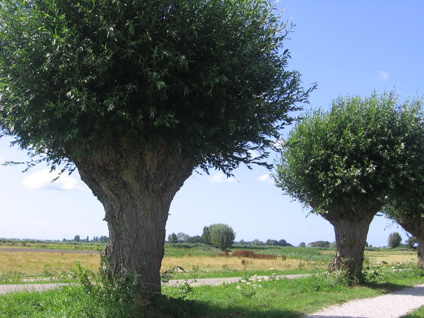 nov25 Annie_van_Opijnen_Noord_Aa