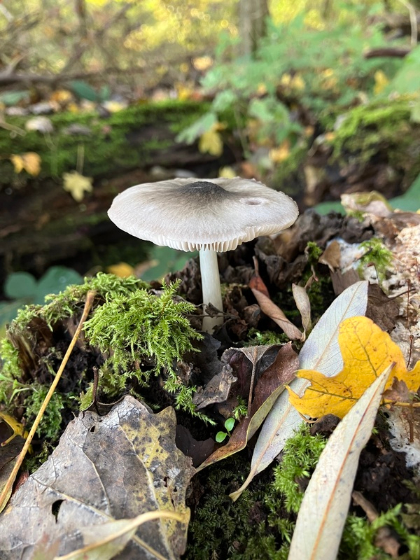 nov25 cok_van_Aalst_Westerpark