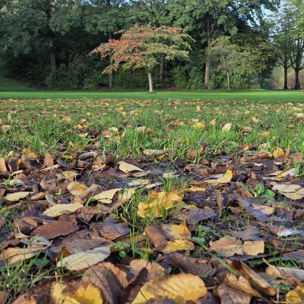 wnov25 Ellis van der meulen