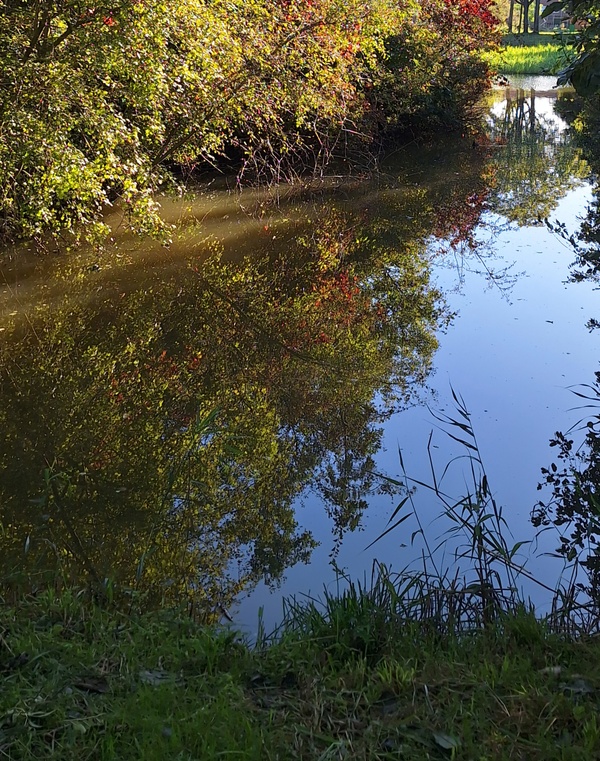 wnov25 Ellis van der meulen