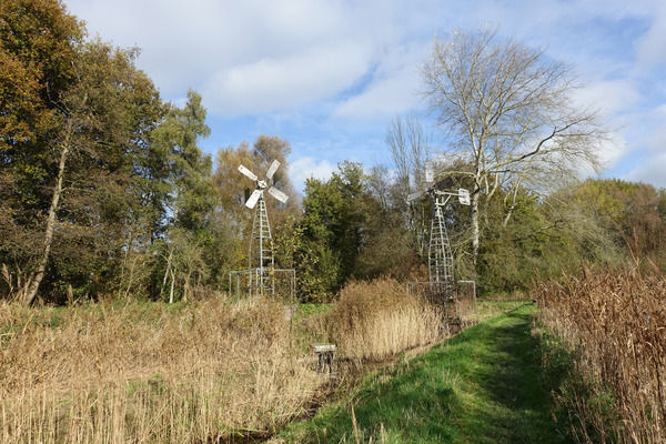 Polder riet en molens