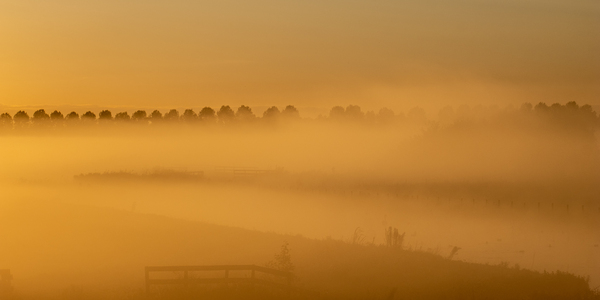 sep25 Nicolaas_Buytenpark