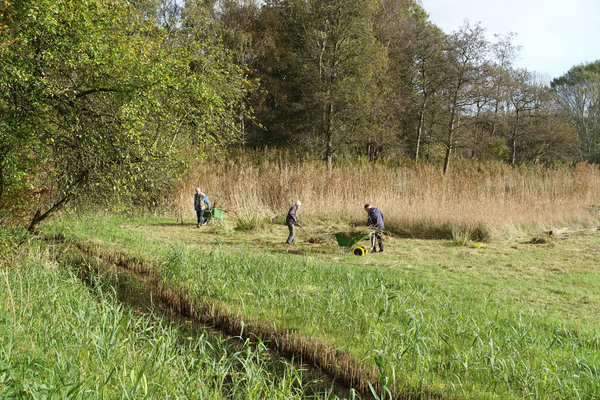 vrijwilligersindepoldermaaienriet