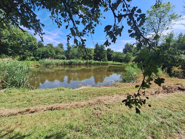 wsep25_Ellis_van_der_meulen_Wijdse_Weide