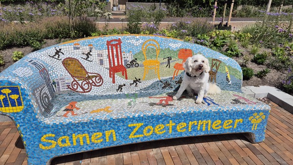 wsep25_ellie_bolleboom_centrum