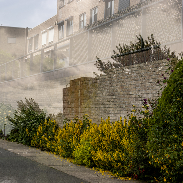 aug25_P._Nicolaas_Drieambachtskade_libelle