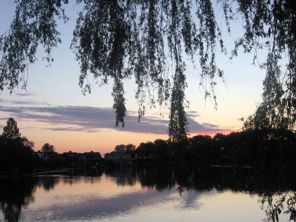 jul25 annie van opijnen Zoetermeerse plas3