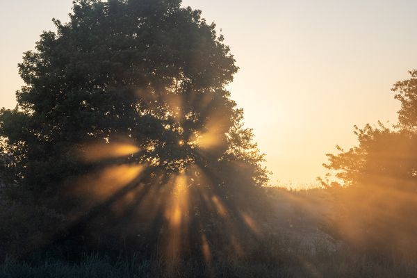 aug25_P._Nicolaas_Vestingpad_Noordhove