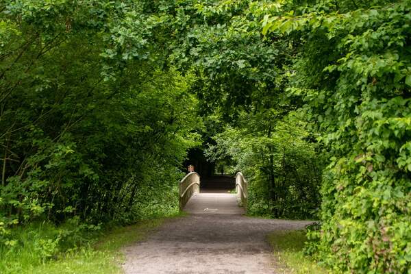 aug25_Rianne_Veeninga