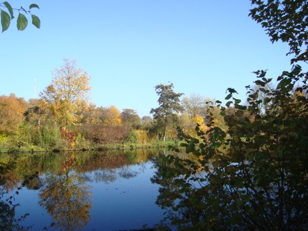 aug25_vernedepark_2_Nadine_de_Keijzer