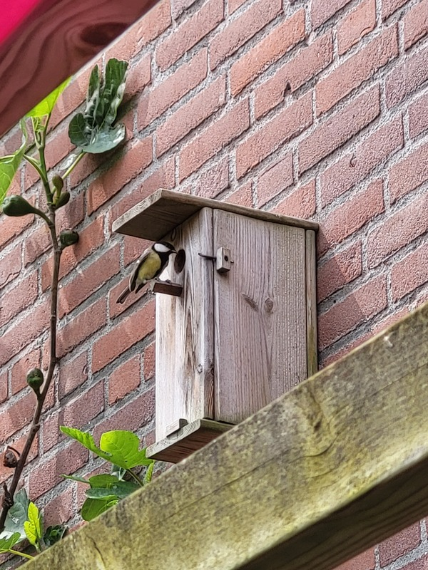 jul25_Lex_Helvensteijn