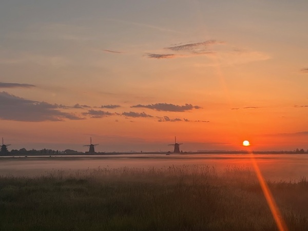 wjun25 P. van Wees Kostverlorenweg