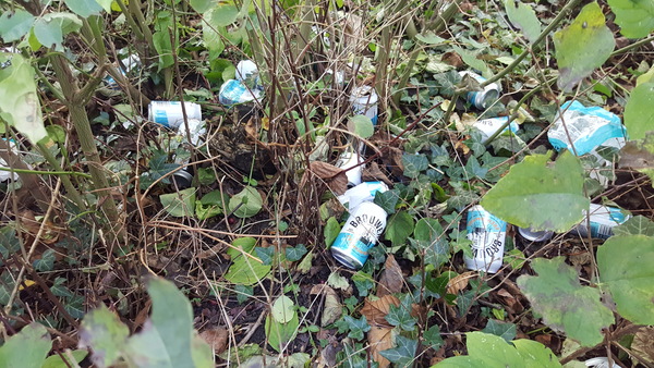 zwerfafval blikjes za