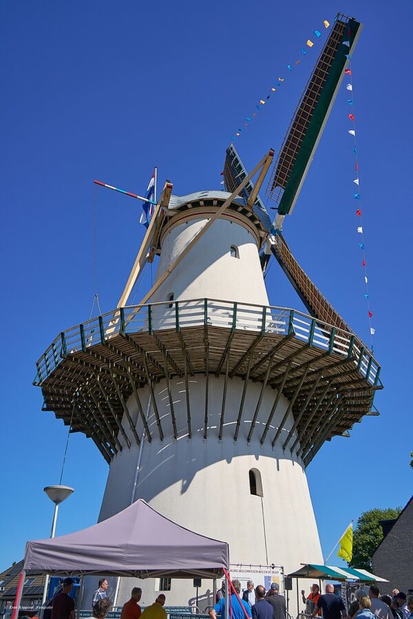 Molendag 25 2 Leon Koppenol