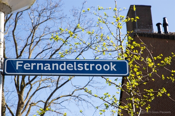 fernandelstrook zoetermeer 001